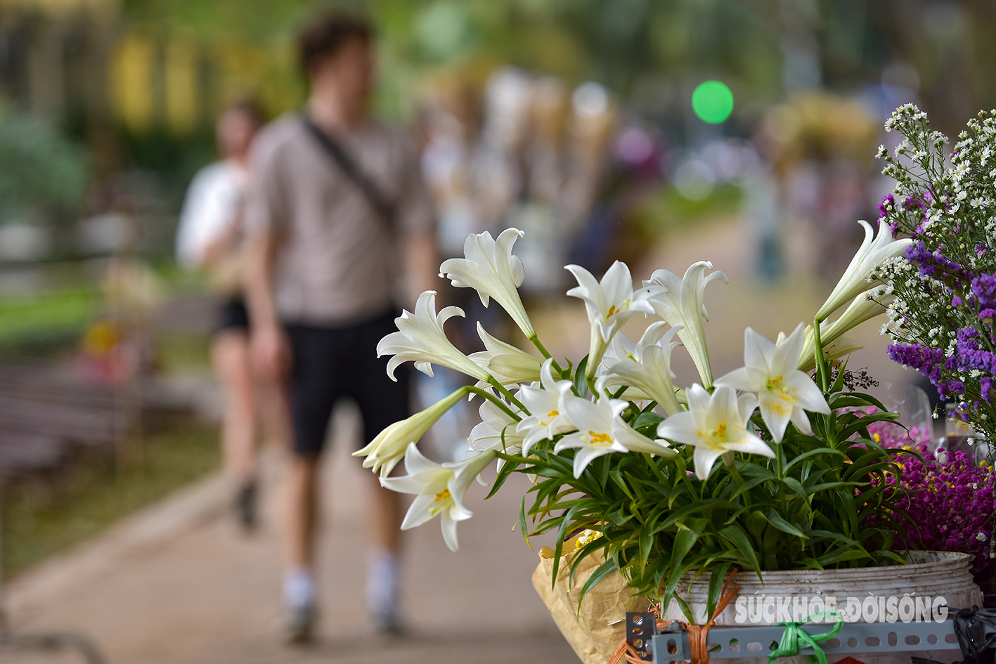 Ngẩn ngơ sắc trắng tinh khôi của hoa loa kèn tháng 4- Ảnh 8.