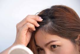 Điều trị tóc bạc sớm theo phương pháp Đông y- Ảnh 2.