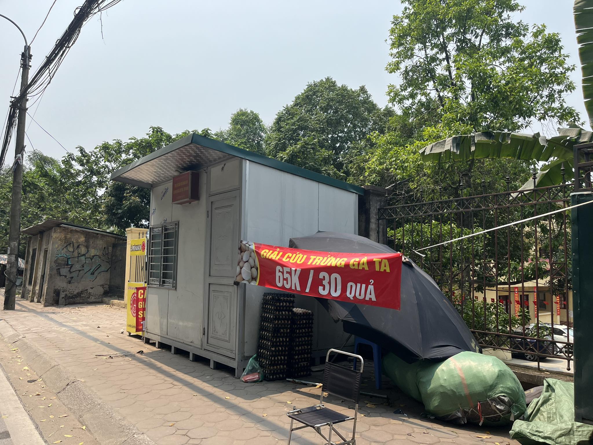 Vì sao trứng gà bỗng nhiên được hô 'giải cứu' với giá siêu rẻ?- Ảnh 1.