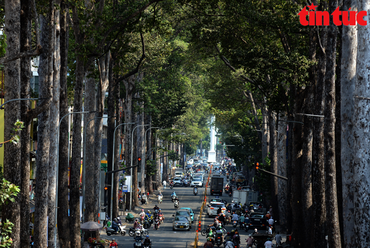 Diện mạo đô thị TP Hồ Chí Minh thay đổi lớn sau gần 5 thập kỷ- Ảnh 18.