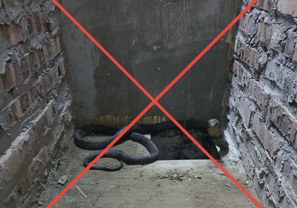 Khởi tố đối tượng buôn bán rắn hổ mang chúa dài 2 mét, nặng 8 kg- Ảnh 2.