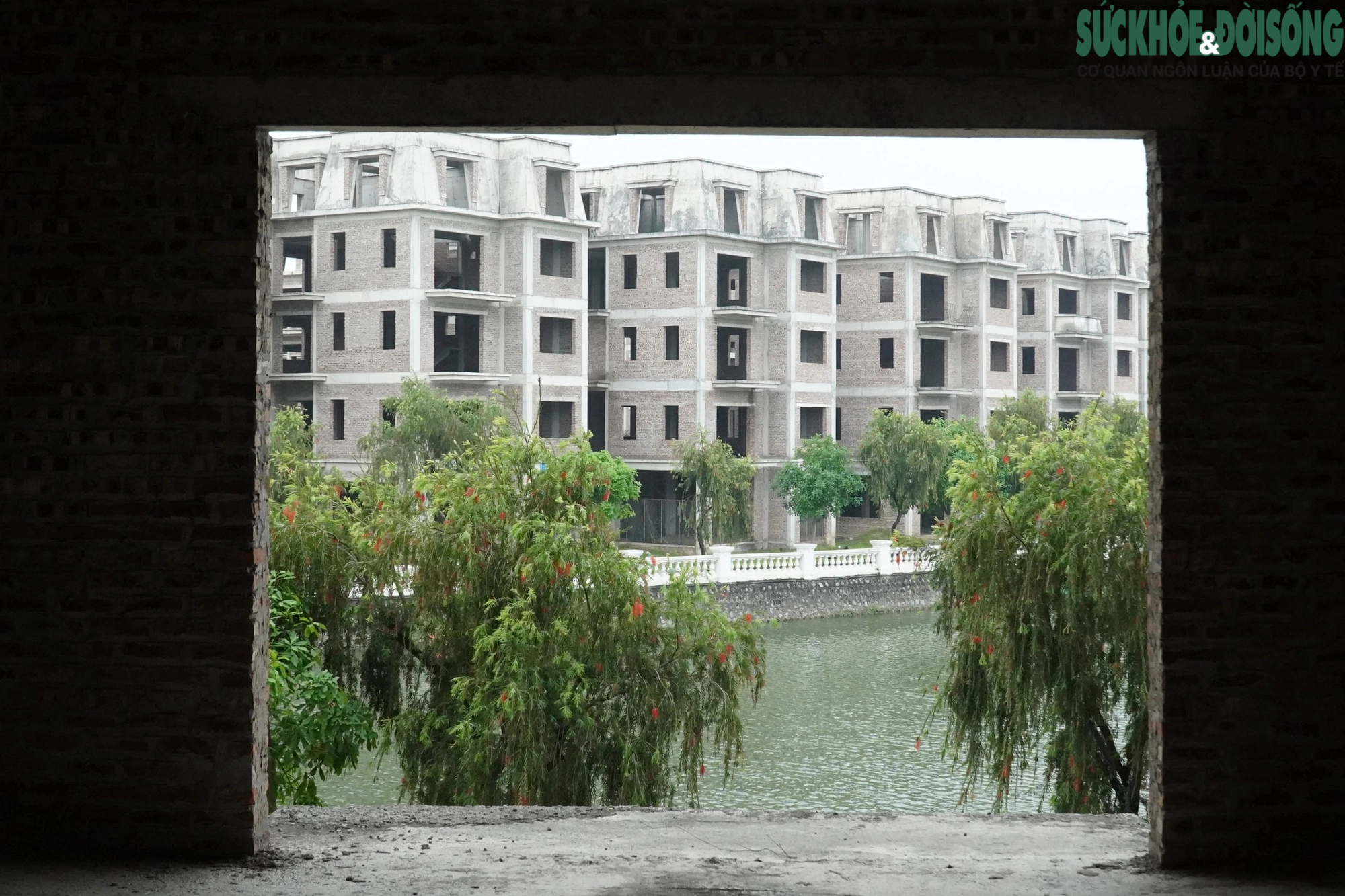 Ngậm ngùi nhìn cả trăm căn biệt thự, nhà liền kề giá triệu đô tại Hà Nội bỏ hoang suốt hơn thập kỷ- Ảnh 4.