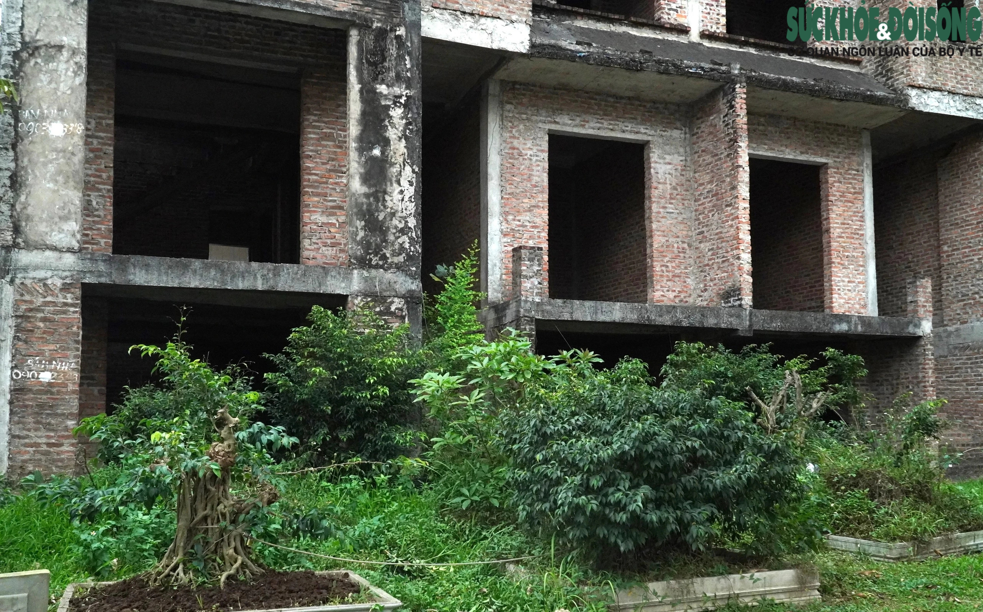 Ngậm ngùi nhìn cả trăm căn biệt thự, nhà liền kề giá triệu đô tại Hà Nội bỏ hoang suốt hơn thập kỷ- Ảnh 8.