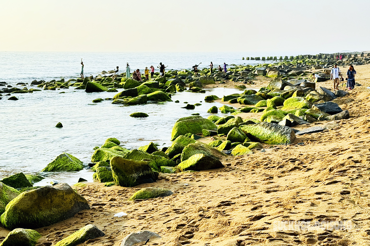 Hút hồn vẻ đẹp rêu xanh phủ kín bãi đá ở Phú Yên- Ảnh 1.