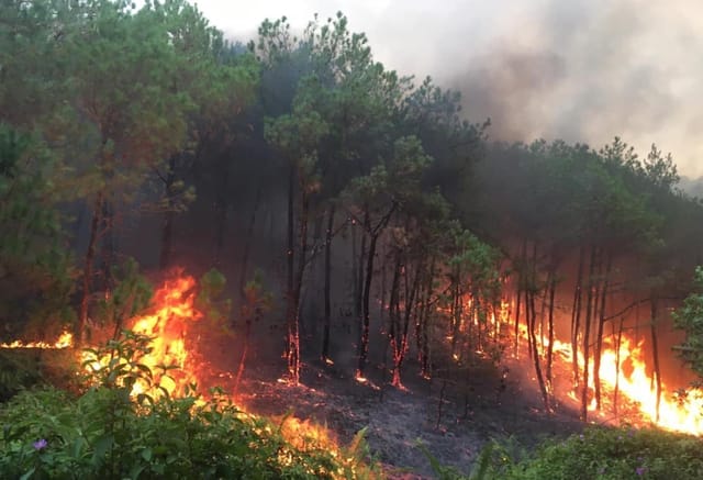 Đã khống chế 2 vụ cháy rừng ở Nghệ An- Ảnh 1.
