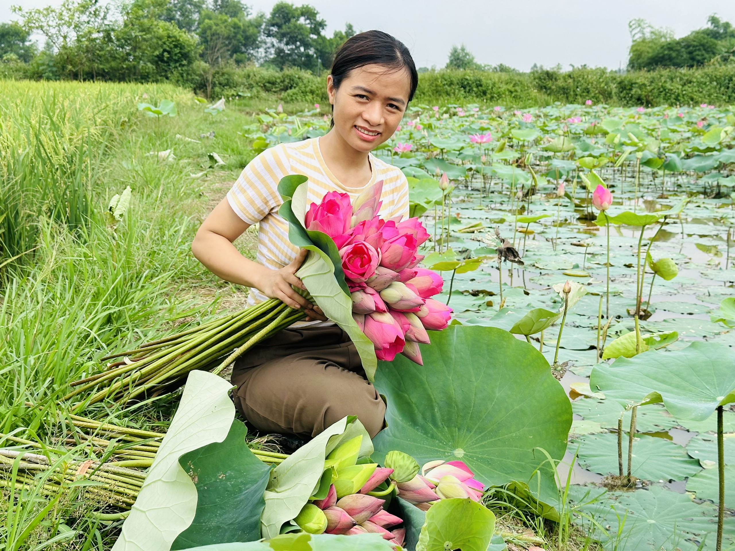 Kim Liên mùa sen nở- Ảnh 11.