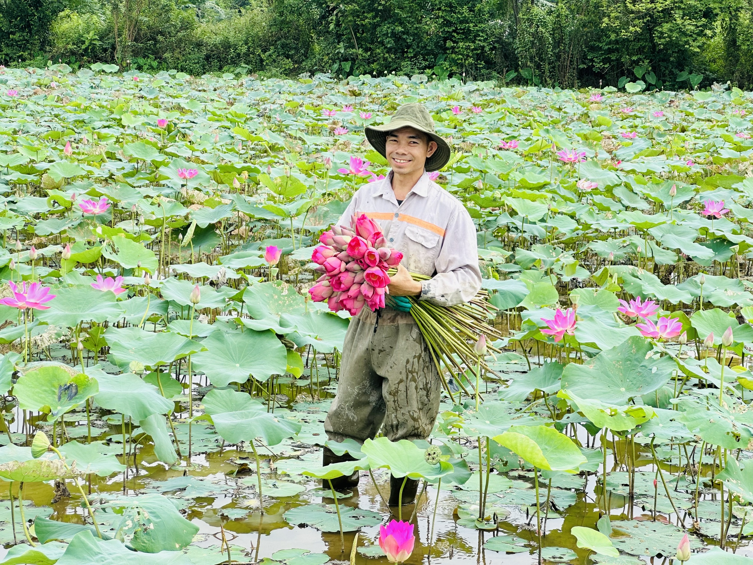 Kim Liên mùa sen nở- Ảnh 5.