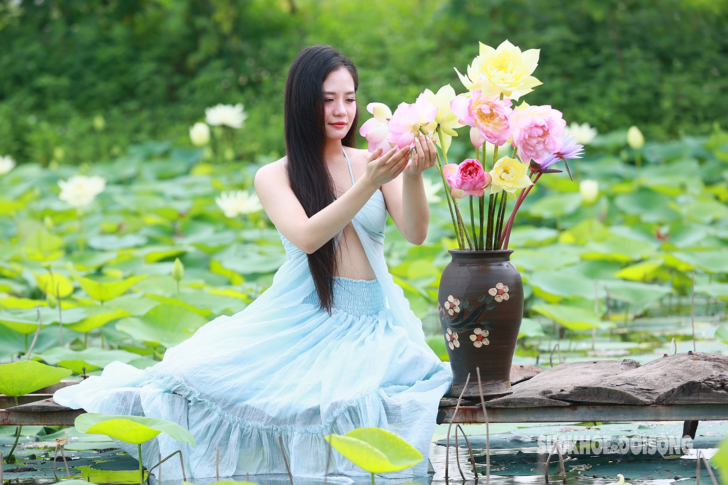 Thiếu nữ Hà Thành xúng xính xiêm áo chụp ảnh bên hoa sen trắng- Ảnh 1.