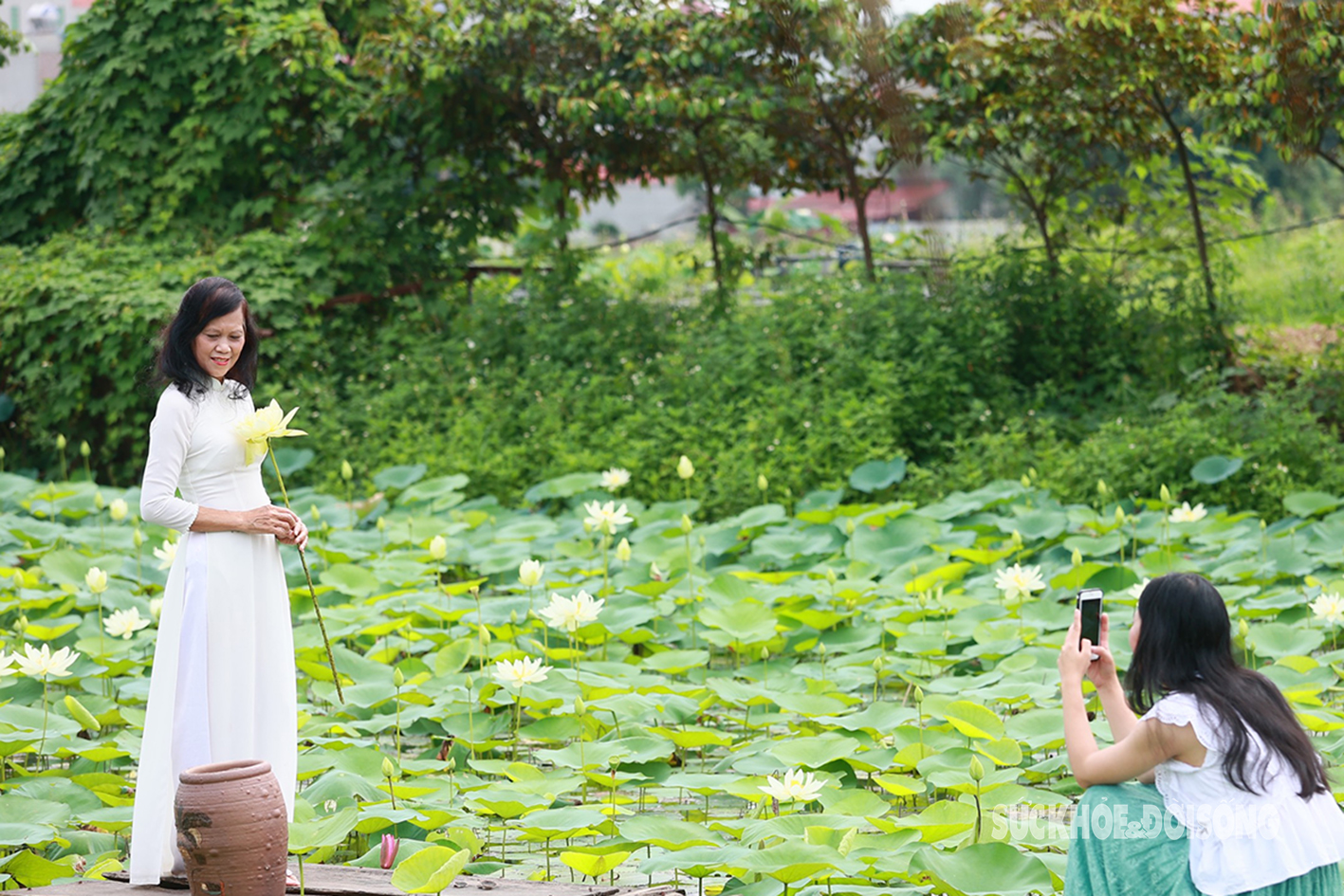 Thiếu nữ Hà Thành xúng xính xiêm áo chụp ảnh bên hoa sen trắng- Ảnh 8.