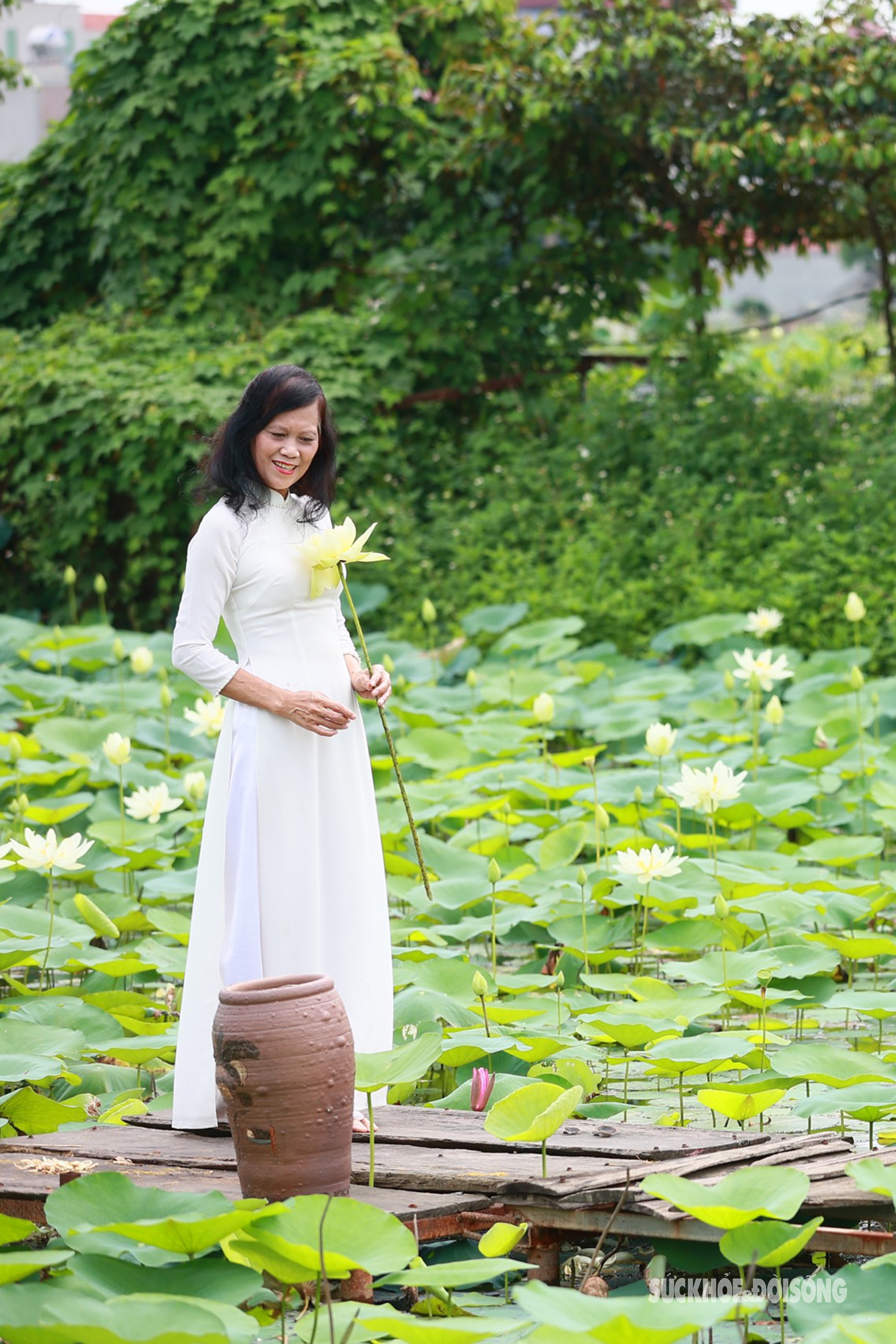 Thiếu nữ Hà Thành xúng xính xiêm áo chụp ảnh bên hoa sen trắng- Ảnh 9.