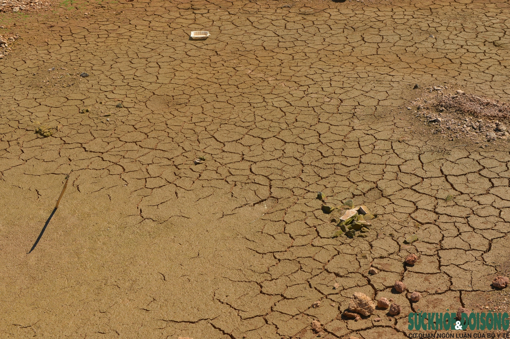 Nắng như đổ lửa, nhiều hồ chứa ở Nghệ An đã khô cạn, trơ đáy- Ảnh 2.