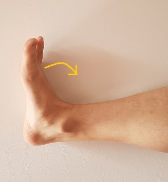 3. ankle-dorsiflexion
