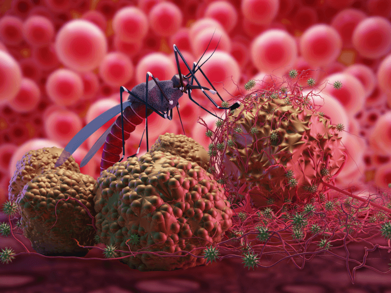 Kháng thể đơn dòng - Cách tiếp cận mới trong ngăn ngừa bệnh sốt rét- Ảnh 1.