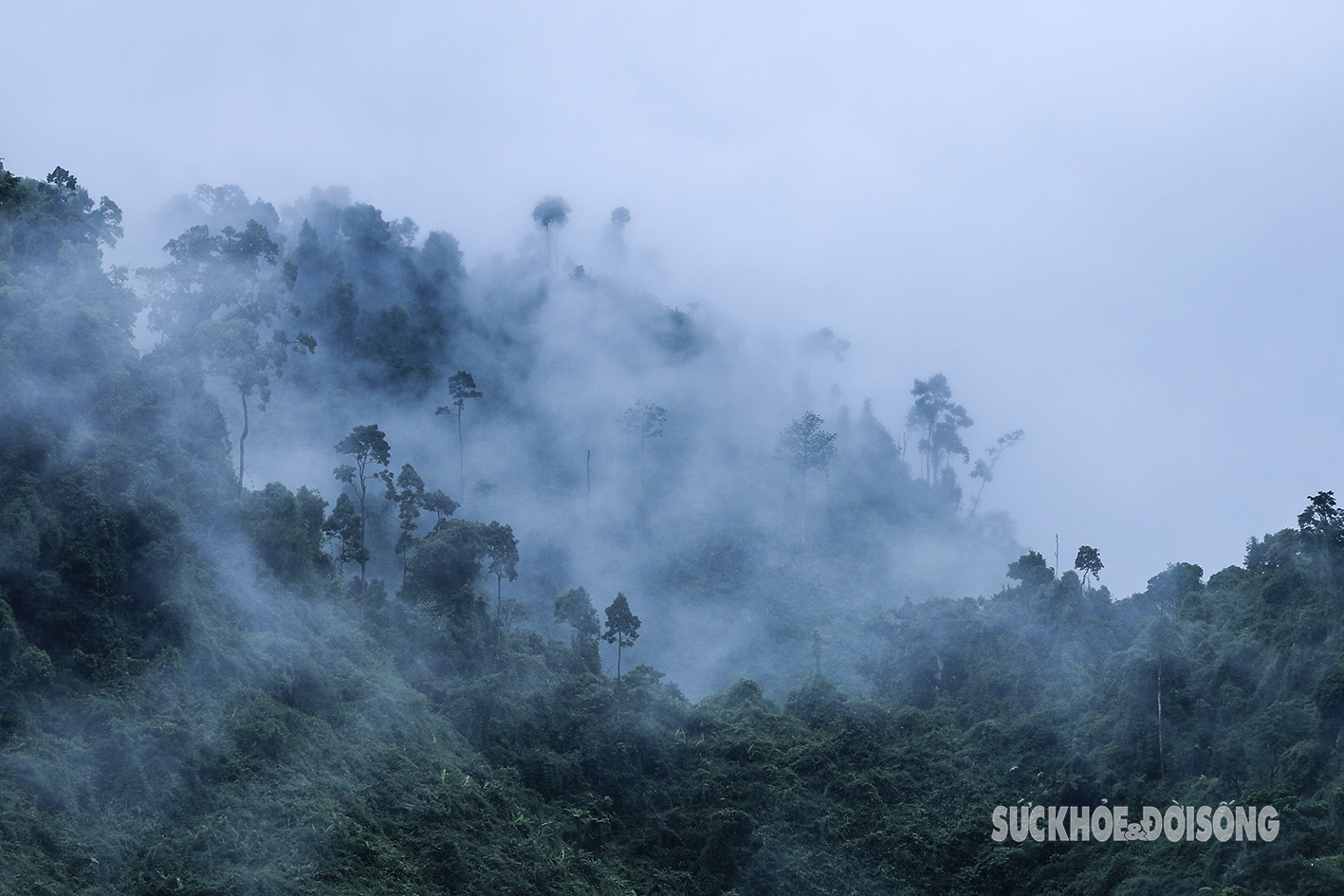 Ngỡ ngàng thác mây trên cao tốc Cam Lộ - La Sơn đẹp như bức tranh thủy mặc- Ảnh 7.