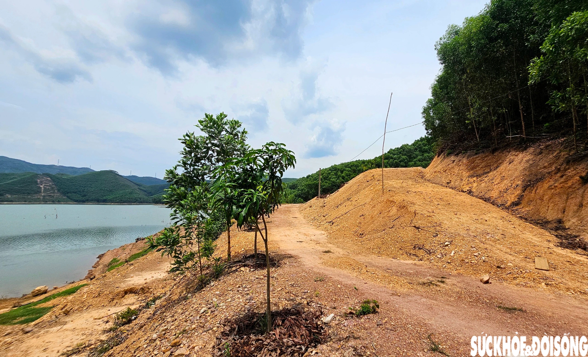 Ngang nhiên ủi đất mở đường, hồ thuỷ lợi Khe Ngang bị đe doạ- Ảnh 3.