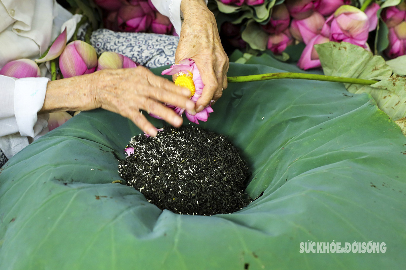 Cụ bà gần 100 tuổi bật mí cách ướp ‘đệ nhất trà’ giá chục triệu đồng/kg- Ảnh 8.