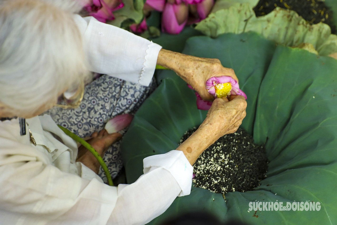 Cụ bà gần 100 tuổi bật mí cách ướp ‘đệ nhất trà’ giá chục triệu đồng/kg- Ảnh 7.