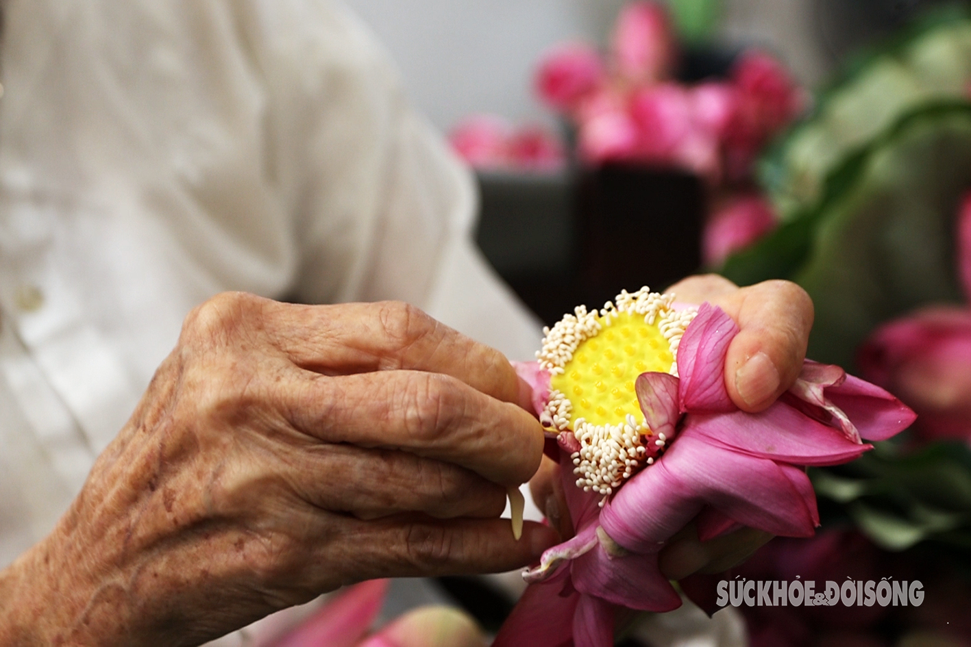 Cụ bà gần 100 tuổi bật mí cách ướp ‘đệ nhất trà’ giá chục triệu đồng/kg- Ảnh 6.