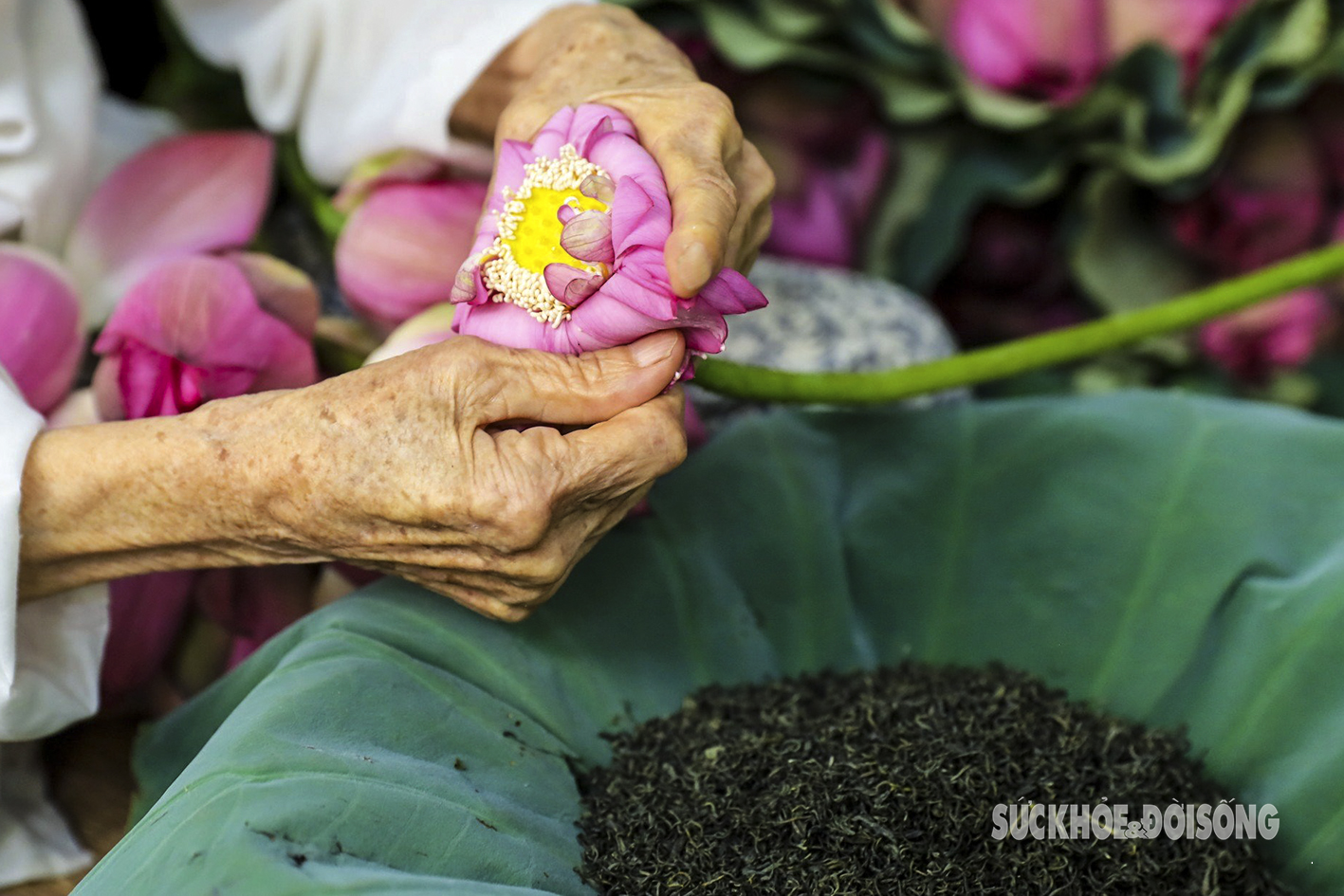 Cụ bà gần 100 tuổi bật mí cách ướp ‘đệ nhất trà’ giá chục triệu đồng/kg- Ảnh 10.
