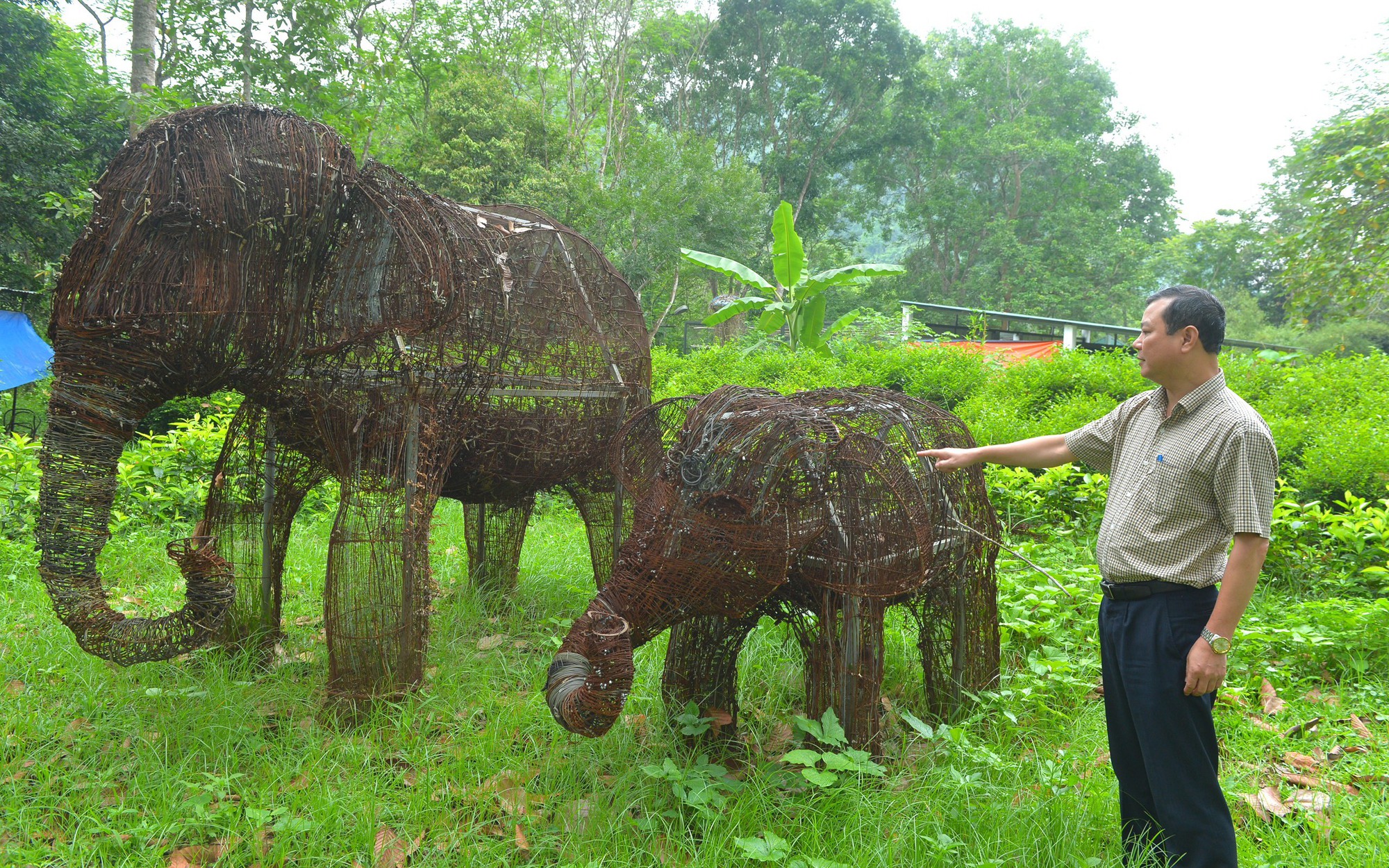 Độc đáo cặp voi khổng lồ được làm từ 15.000 chiếc bẫy thú giữa rừng già Pù Mát