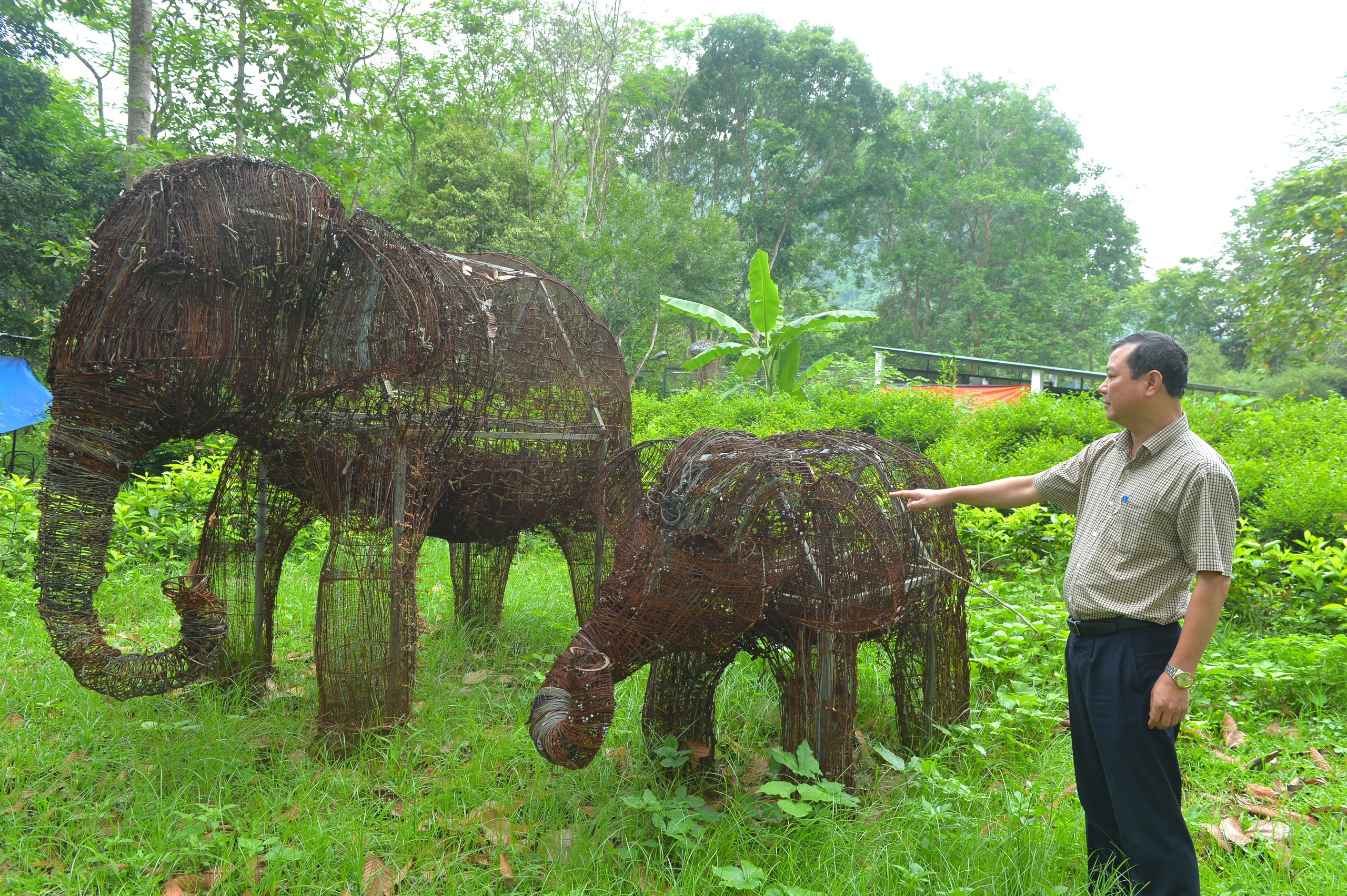 Độc đáo cặp voi khổng lồ được làm từ 15.000 chiếc bẫy thú giữa rừng già Pù Mát- Ảnh 1.