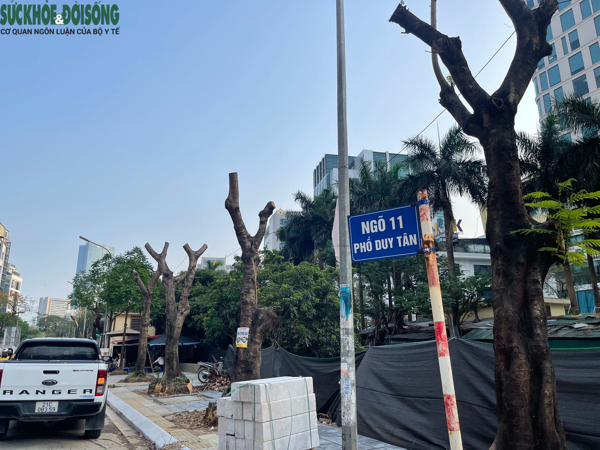 Hà Nội: Hàng loạt cây xanh lâu năm trên phố Duy Tân bị cắt trụi ngọn, trồi gốc- Ảnh 1.