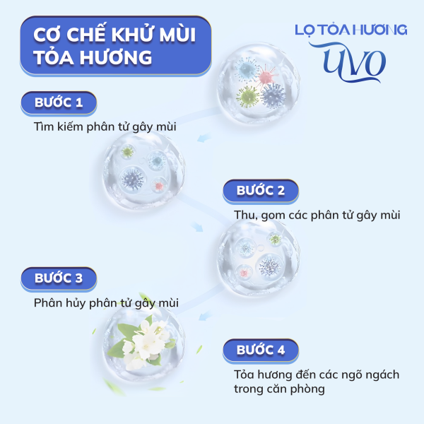 Bí quyết giữ cho căn nhà luôn ngát hương hoa quả tự nhiên- Ảnh 3.