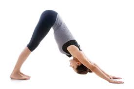 6 tư thế yoga giúp giảm đau lưng và cứng khớp- Ảnh 2.
