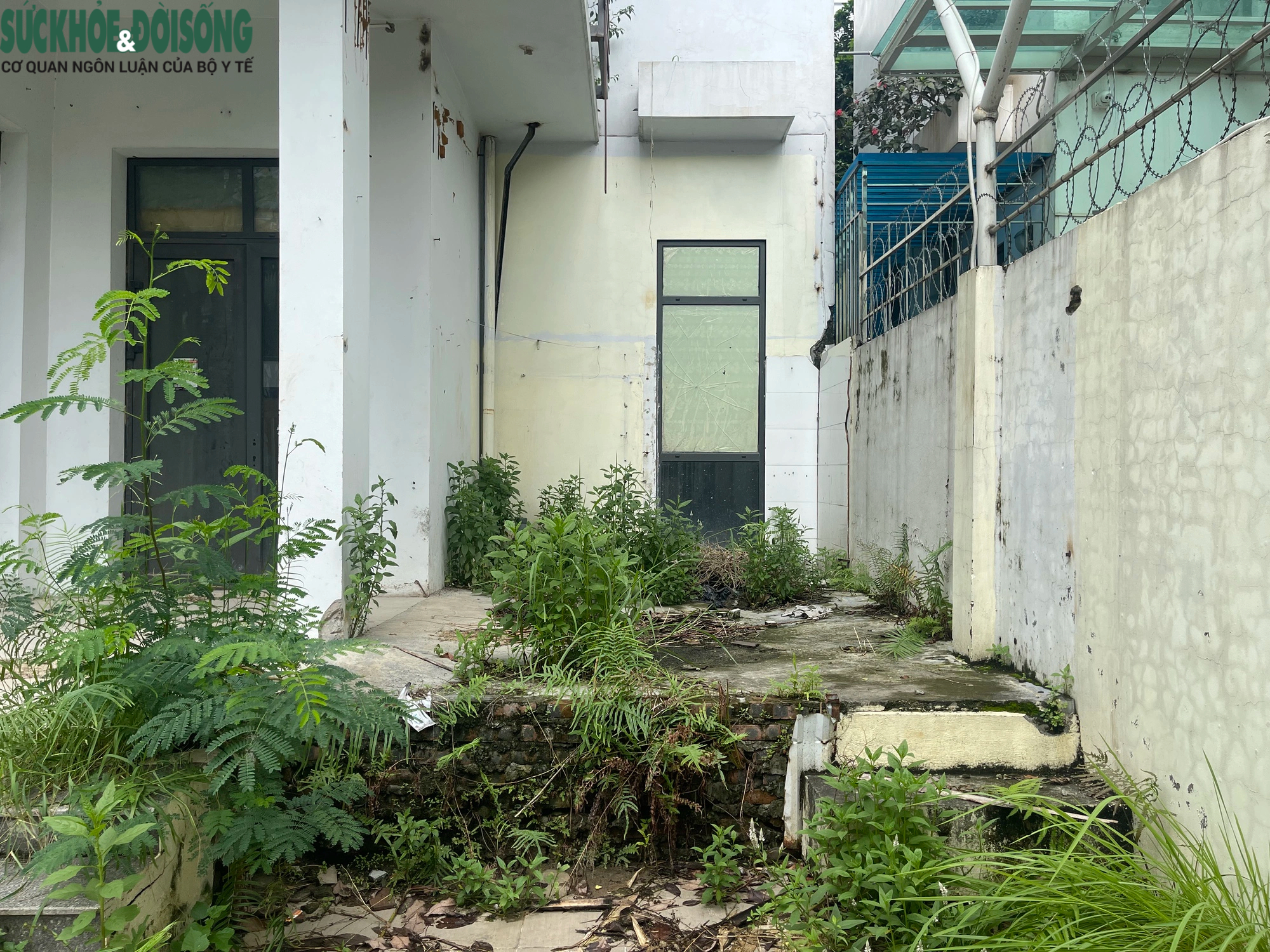 Cận cảnh hoang tàn của những căn biệt thự triệu đô trong Khu đô thị Xuân Phương- Ảnh 9.