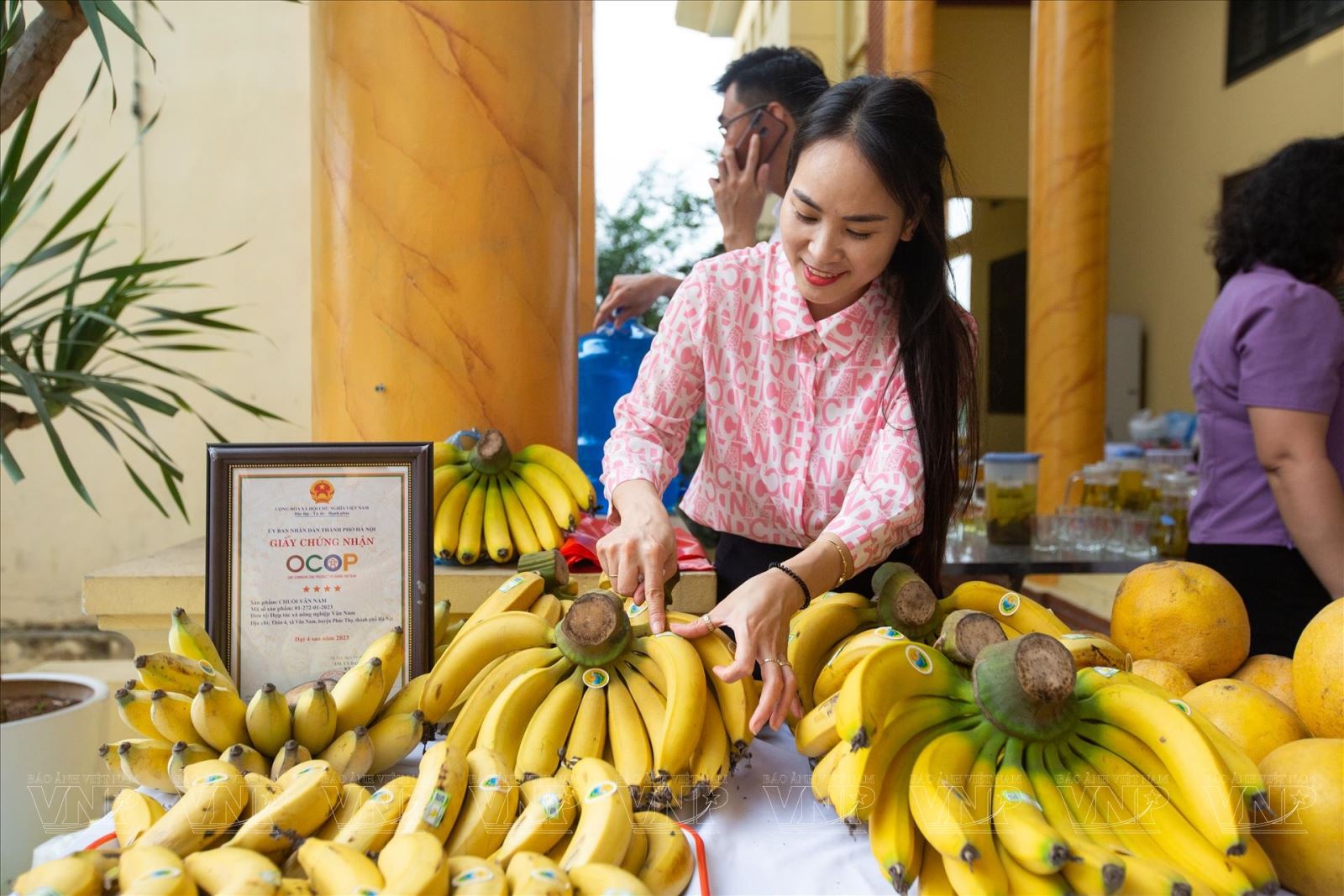 Sản phẩm chuối Vân Nam cho thu tiền tỷ mỗi năm- Ảnh 1.