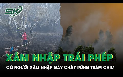 Phát hiện có người xâm nhập trái phép gây ra vụ cháy lớn ở Vườn quốc gia Tràm Chim