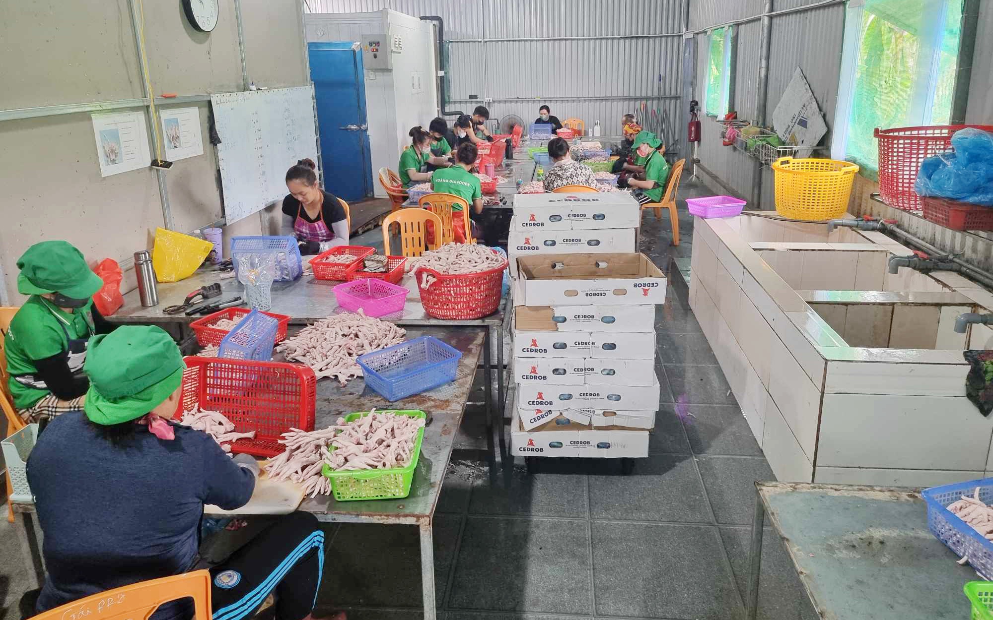 Hàng tấn thực phẩm không nguồn gốc bên trong căn nhà tôn luôn đóng kín cửa