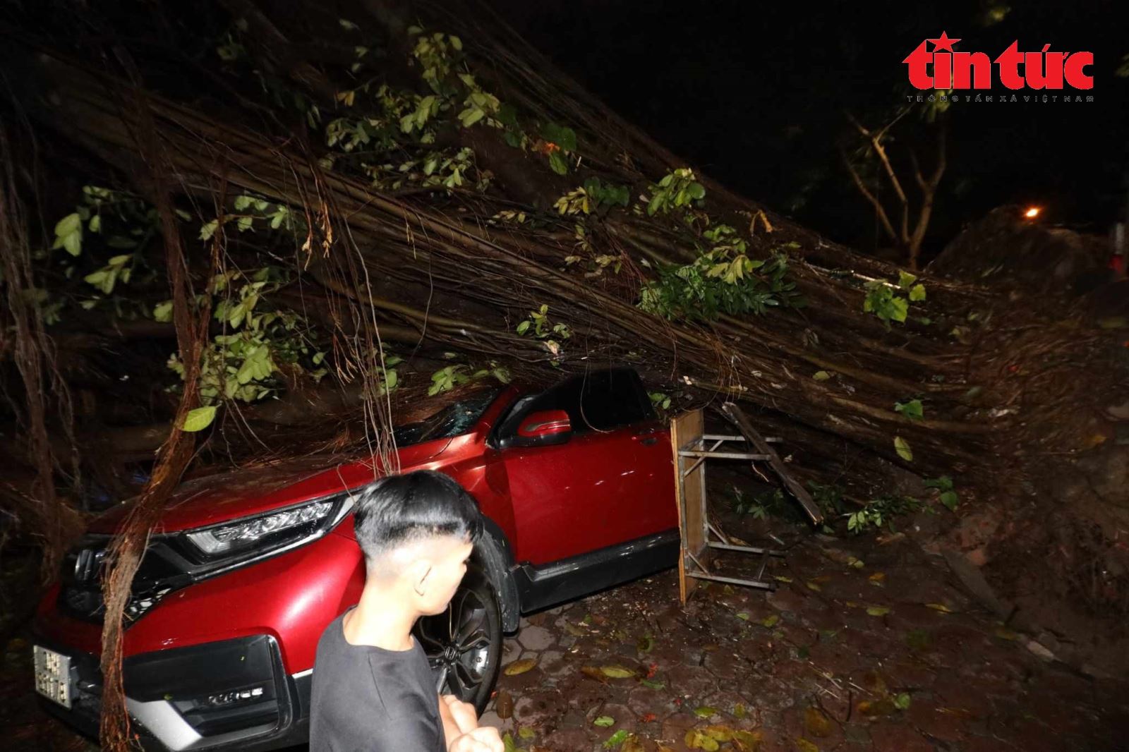 Hà Nội: Mưa kèm gió lớn khiến cây đổ đè lên nhiều ô tô- Ảnh 7.