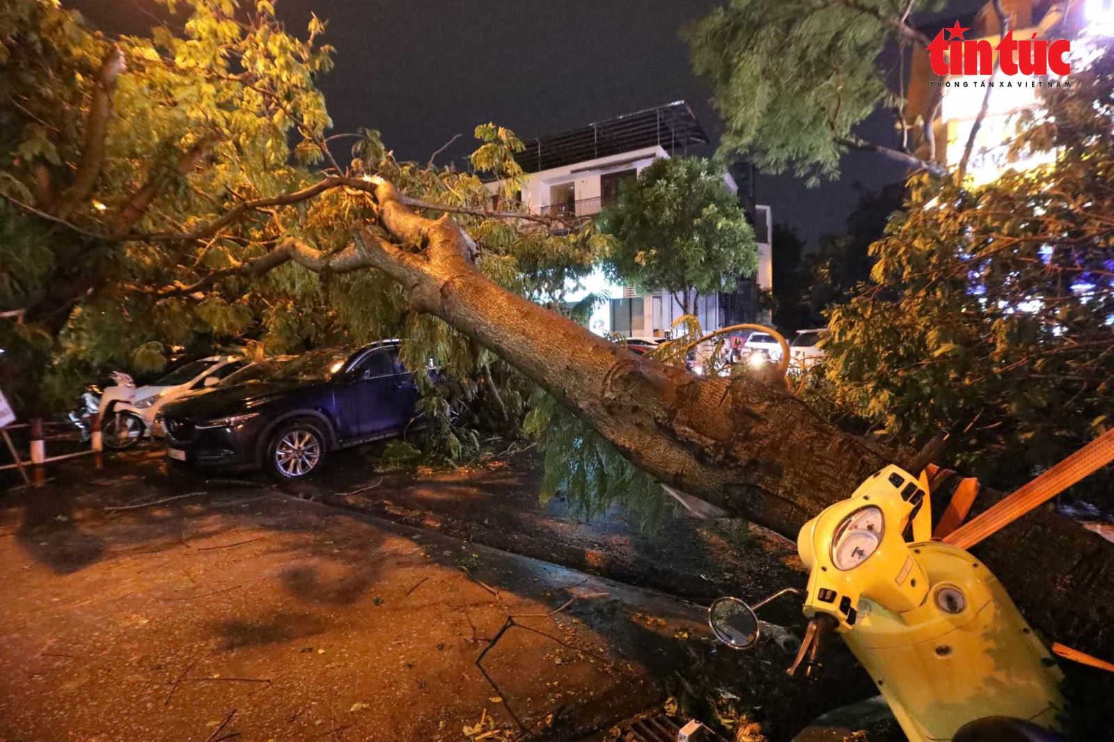 Hà Nội: Mưa kèm gió lớn khiến cây đổ đè lên nhiều ô tô- Ảnh 2.