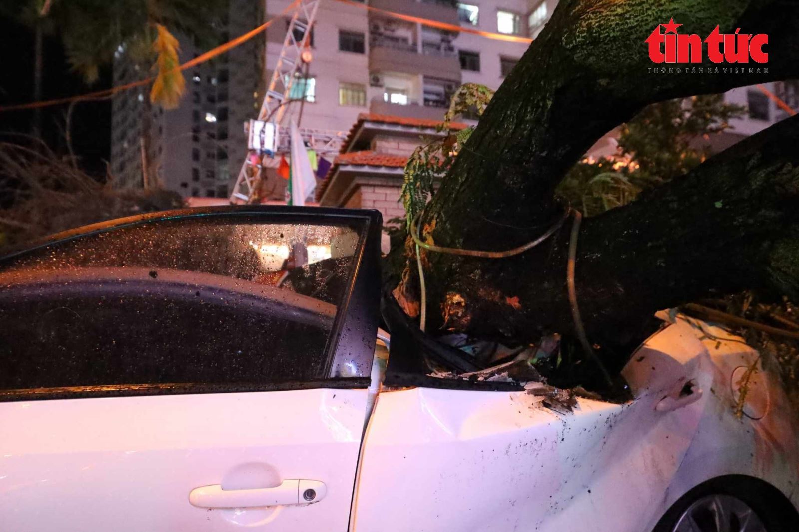 Hà Nội: Mưa kèm gió lớn khiến cây đổ đè lên nhiều ô tô- Ảnh 5.