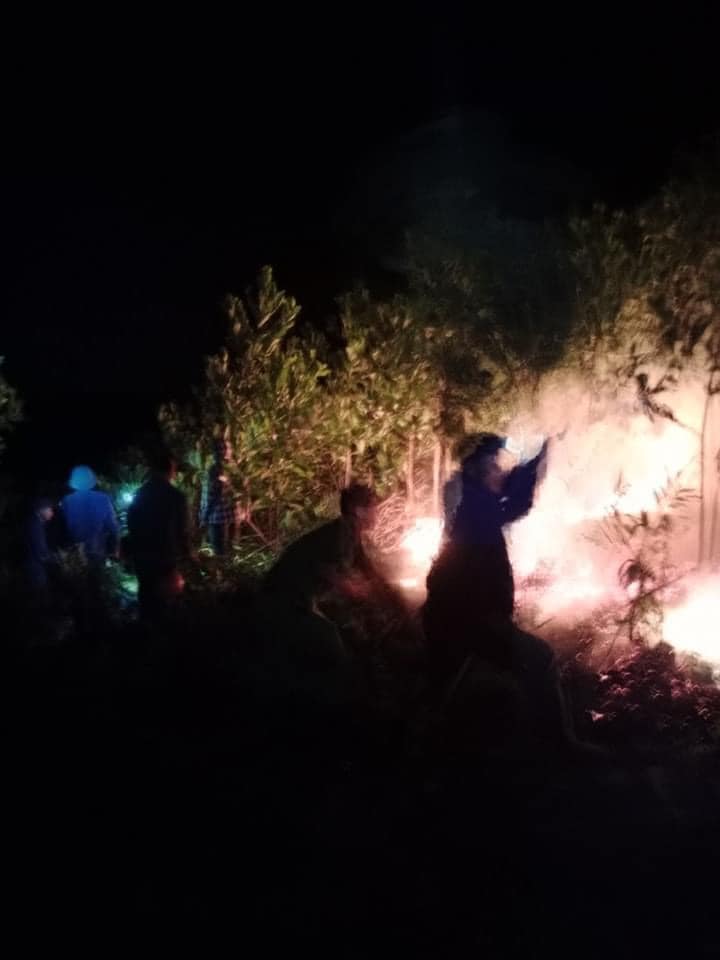 Hàng trăm người nỗ lực khống chế cháy rừng trong đêm- Ảnh 2.
