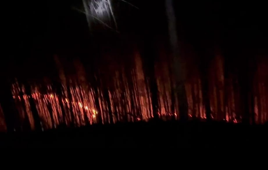 Hàng trăm người nỗ lực khống chế cháy rừng trong đêm- Ảnh 1.