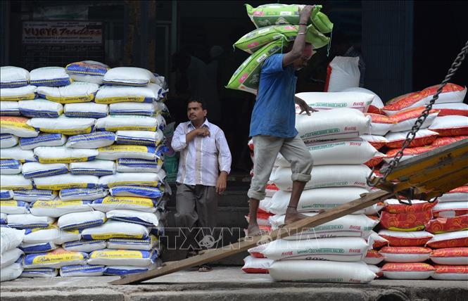 Giá gạo Ấn Độ chạm đỉnh của gần 3 tháng- Ảnh 1.
