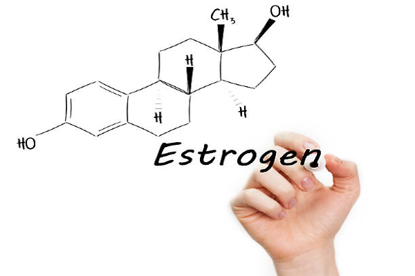 Có hai nội tiết tố nữ chính gồm estrogen và progesterone.