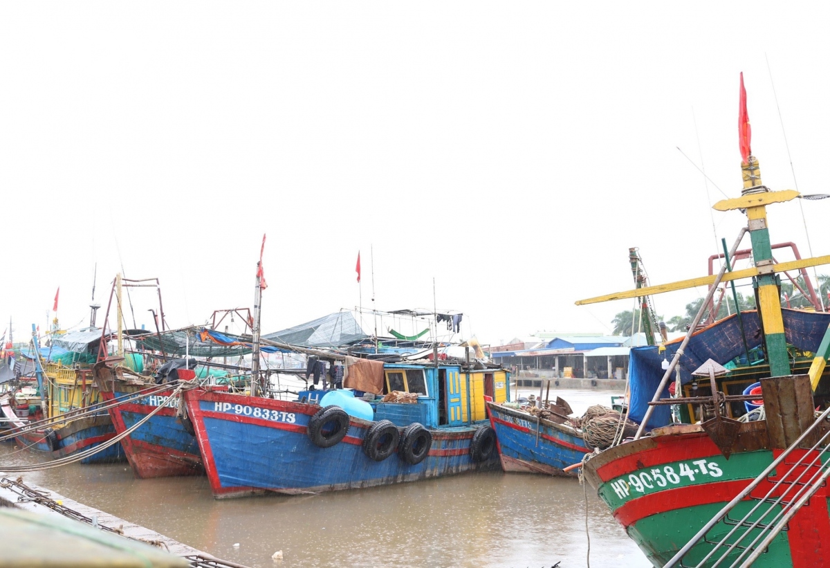 Bão số 2 cách Quảng Ninh, Hải Phòng 170km- Ảnh 3.