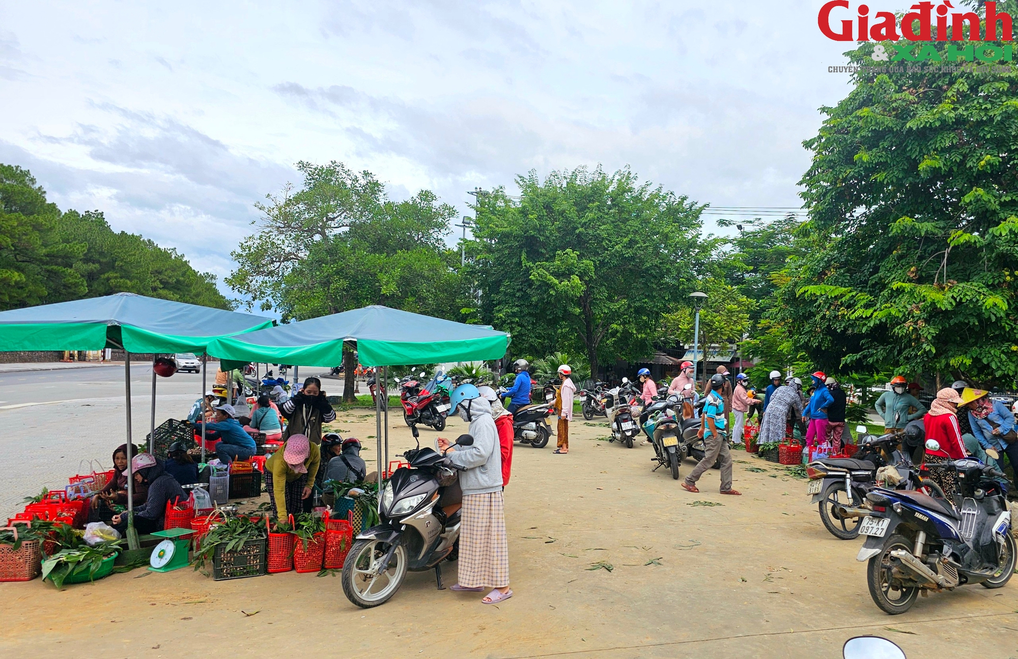 Khu bán nấm tràm 'lộc trời' nhộn nhịp từ sáng đến đêm bên cạnh di tích Huế- Ảnh 13.