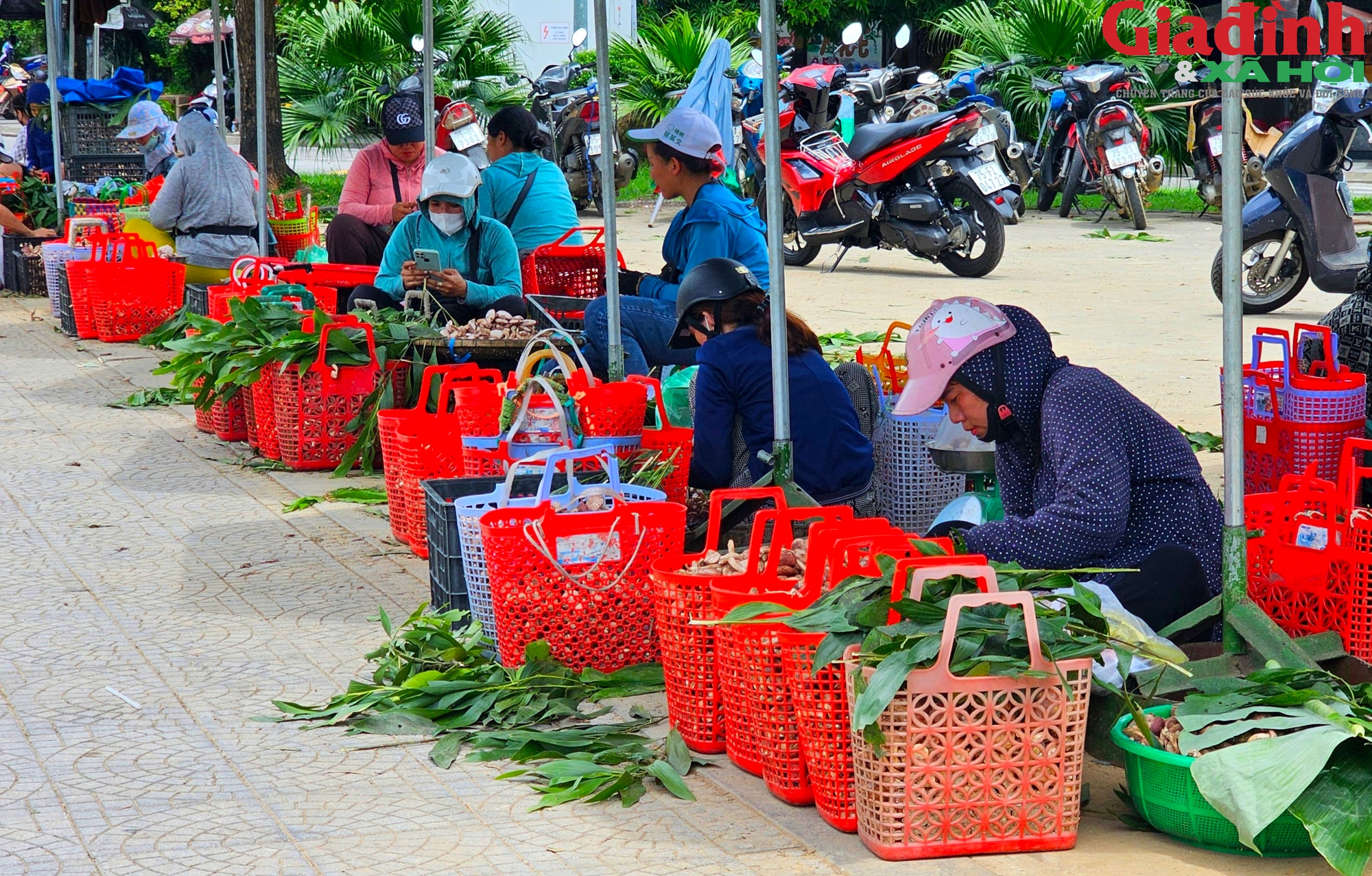 Khu bán nấm tràm 'lộc trời' nhộn nhịp từ sáng đến đêm bên cạnh di tích Huế- Ảnh 11.