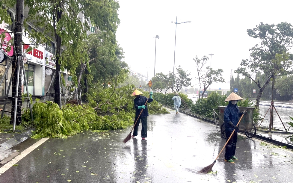 Bão số 2 vào Quảng Ninh, nhiều cây xanh bật gốc, gãy đổ