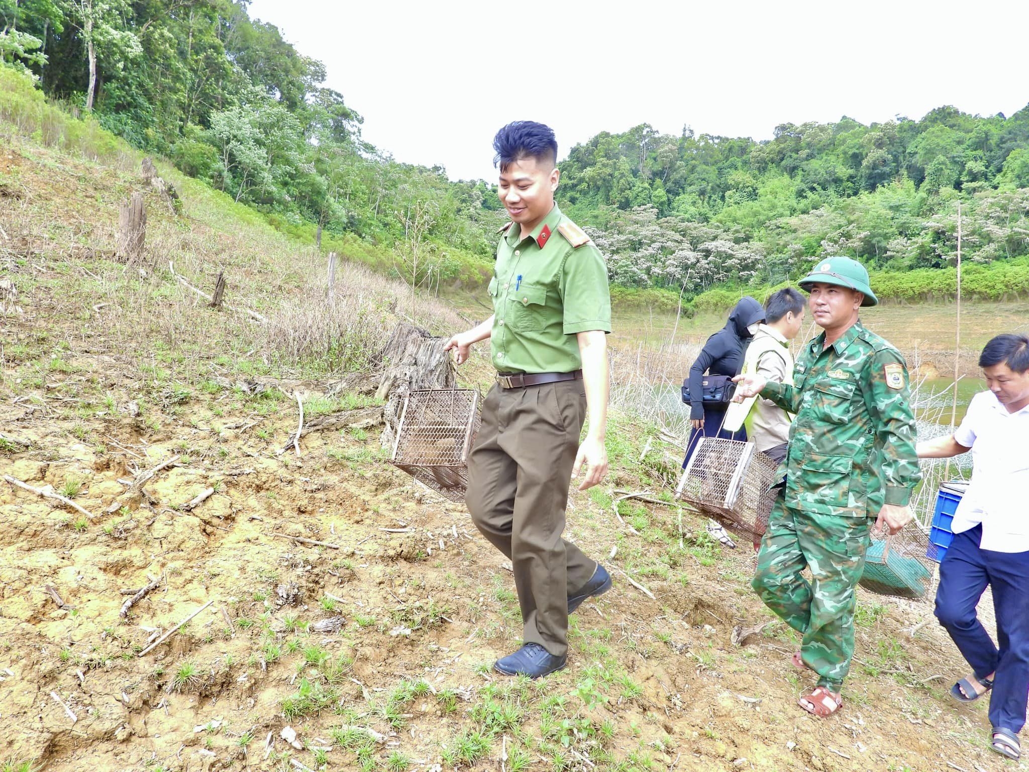 Thả 36 cá thể động vật hoang dã quý hiếm về môi trường tự nhiên- Ảnh 9.