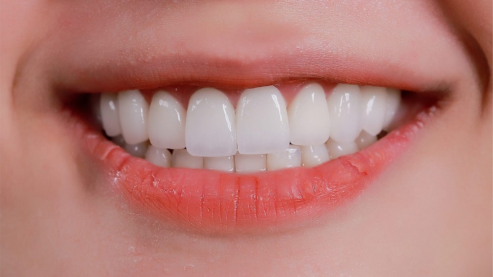 Cấu trúc răng của con người có gì đặc biệt?
