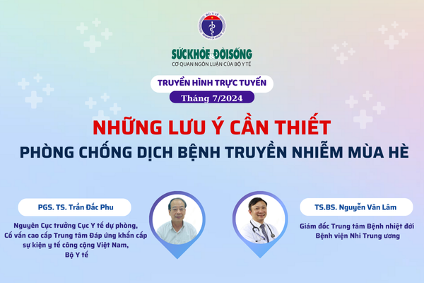 Truyền hình trực tuyến: Những lưu ý cần thiết để phòng chống dịch bệnh mùa hè- Ảnh 1.