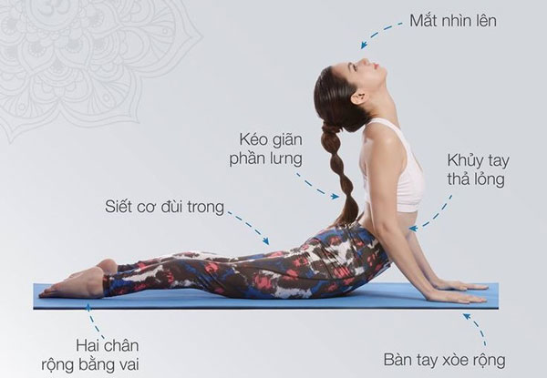 Lợi ích, cách tập tư thế rắn hổ mang trong Yoga cho người mới