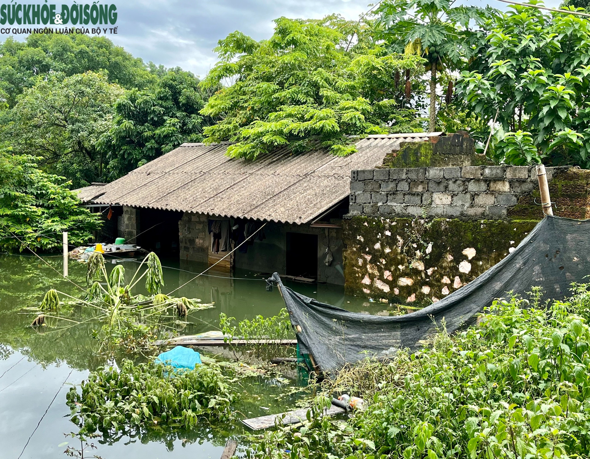 Vùng 'rốn lũ' huyện Chương Mỹ, Hà Nội cô lập trong biển nước- Ảnh 3.