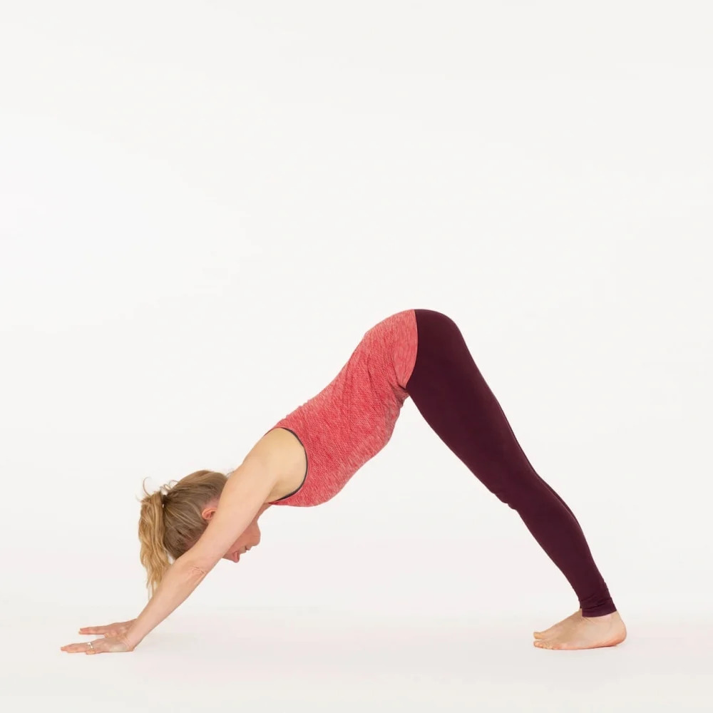 How to do Downward Dog Pose - Adho Mukha Svanasana - Ekhart Yoga