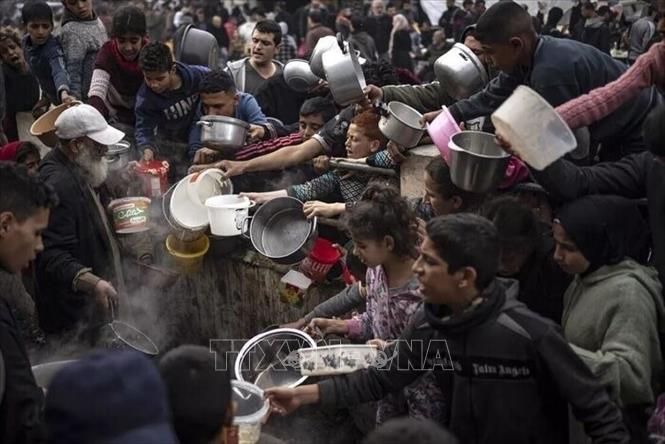 Chuyên gia LHQ báo động nạn đói đang diễn ra tại Gaza- Ảnh 1.